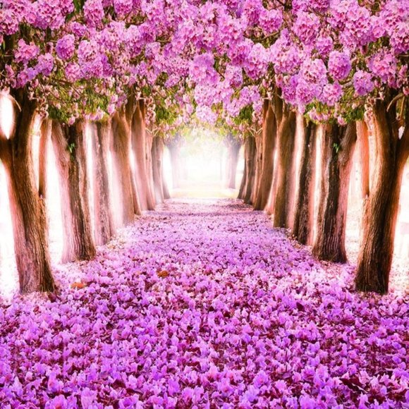 Meet your Posher, Flor - Picture 2 of 2